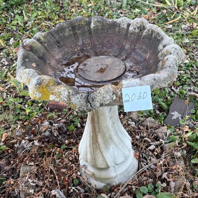 Bird Bath