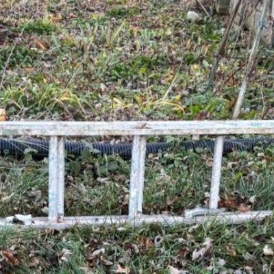 Extension Ladder