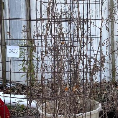 2 Tomato Cage and Tub