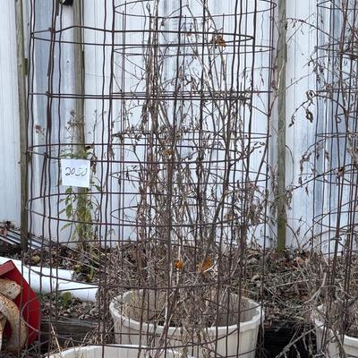 2 Tomato Cage and Tub