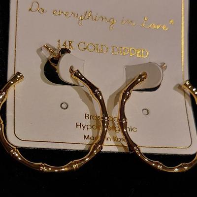 14kt Gold Dipped Earrings