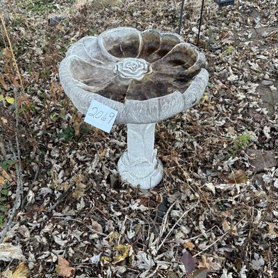 Bird Bath