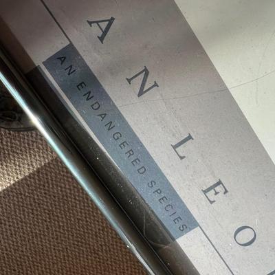 Jacquie Marie Vaux ‘African Leopard’ Framed Print (BPR-RG)