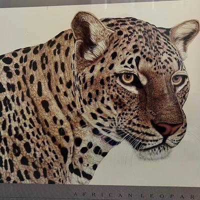 Jacquie Marie Vaux ‘African Leopard’ Framed Print (BPR-RG)