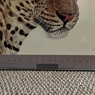 Jacquie Marie Vaux ‘African Leopard’ Framed Print (BPR-RG)