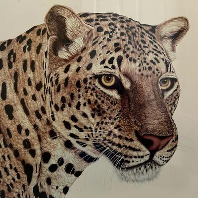 Jacquie Marie Vaux ‘African Leopard’ Framed Print (BPR-RG)