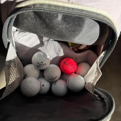 Fujikara & Mamiya Irons & Woods With Golf Bags (G-MG)