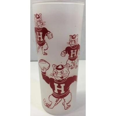 Houston Cougars Frosted Glass & Houston Astros Clear Glass Mug. MLB / NCAA