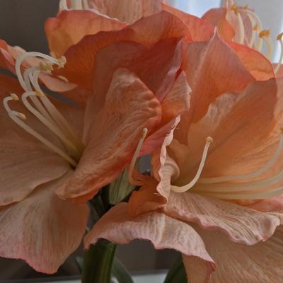 LOT 48: Wooden Night Stand with Glass Top, Mirror, and Faux Flower Decor