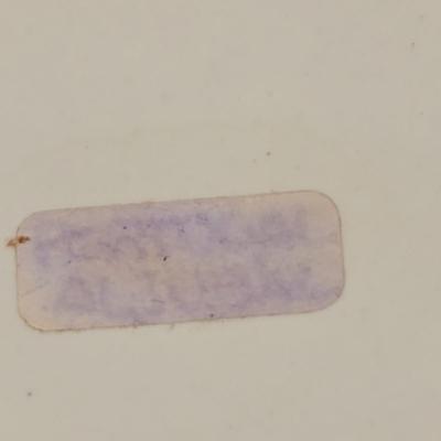 LOT 50: Jardiniere Planter on Pedestal/Hand Made in Portugal. Can Also Be Separated as a Vase and Planter