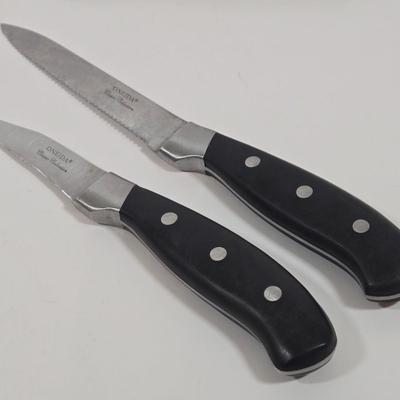 LOT 154: Oneida Triple-rivet Stainless Steel Knives Set