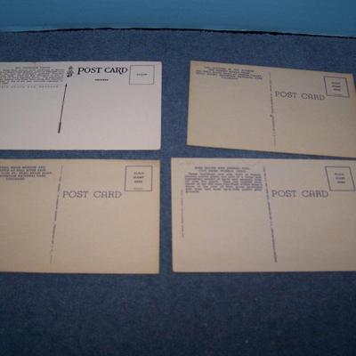 LOT 178 GREAT VINTAGE POSTCARDS-COLORADO-ELITCH GARDENS/RMNP/BIG THOMPSON++