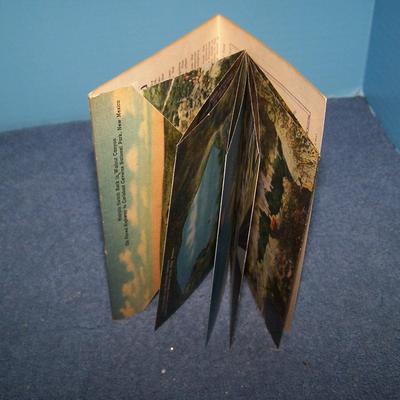 LOT 180 GREAT VINTAGE POSTCARDS/FOLDERS NEW MEXICO-CARLSBAD CAVERNS