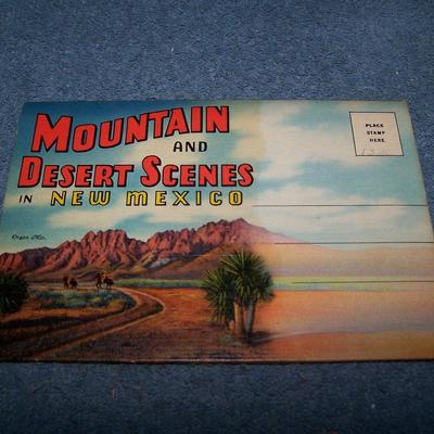 LOT 180 GREAT VINTAGE POSTCARDS/FOLDERS NEW MEXICO-CARLSBAD CAVERNS