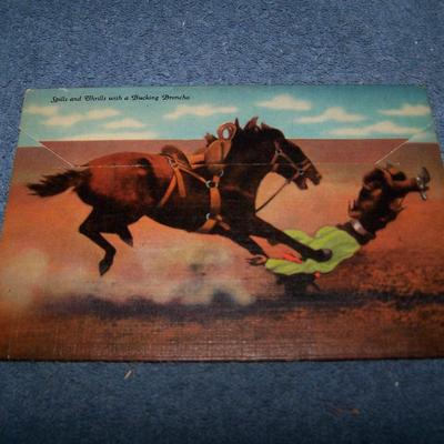 LOT 180 GREAT VINTAGE POSTCARDS/FOLDERS NEW MEXICO-CARLSBAD CAVERNS