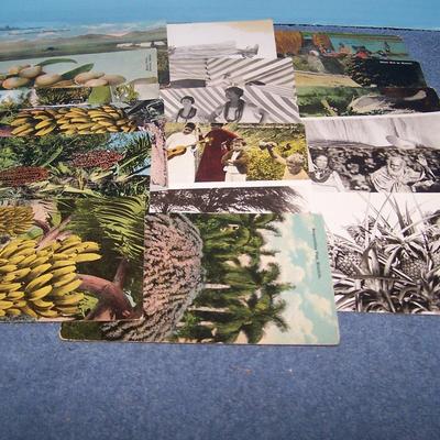 LOT 185 GREAT VINTAGE POSTCARDS-HAWAII-PEOPLE/HULA/FRUITS
