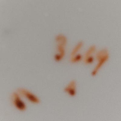 Sale Photo Thumbnail #332