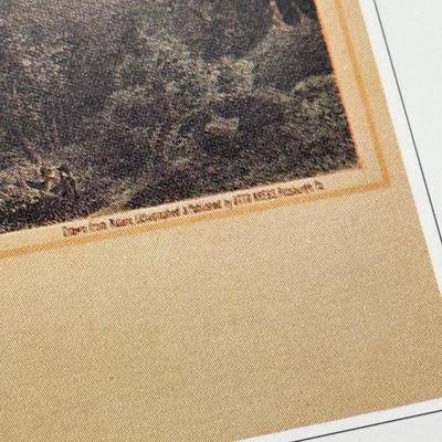 Sale Photo Thumbnail #309