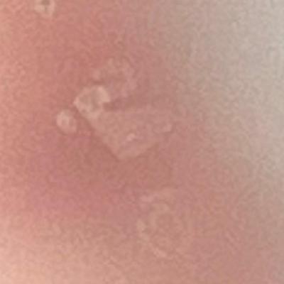 LOT 180: Swarovski Crystal Palm Tree Figurine with Frosted Base