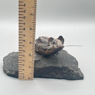 LOT 183: The Mouse and The House - Carved Wooden Mounted Mouse Statue and Heavy Ceramic House Statue