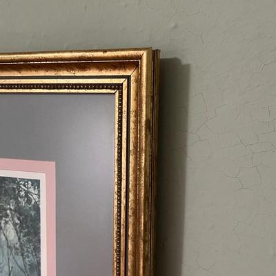 ‘Misty Morning Magic’ By Diane Anderson LE Signed Print w/COA (B3-RG)