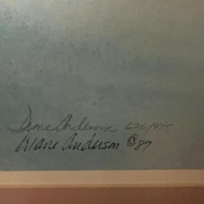 ‘Misty Morning Magic’ By Diane Anderson LE Signed Print w/COA (B3-RG)