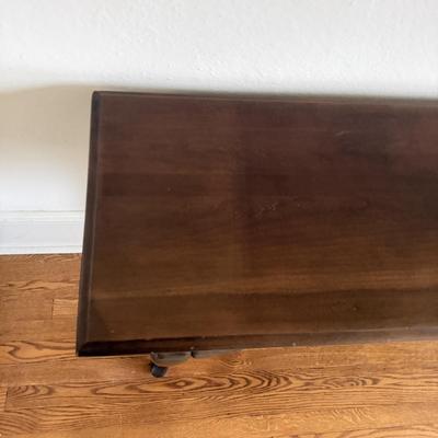 Sofa Table With Queen Anne Style Legs (LR-MG)