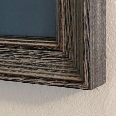 Framed Ayer's Sarsaparilla & Youth Companion Advertisements (B3-RG)