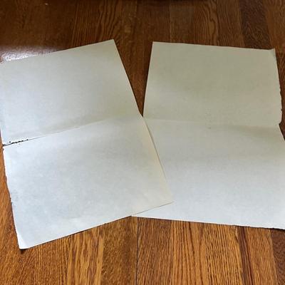 Framed Ayer's Sarsaparilla & Youth Companion Advertisements (B3-RG)