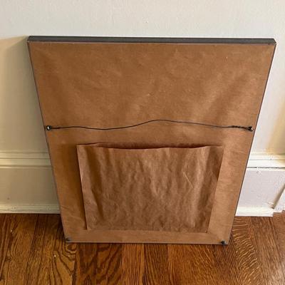 Framed Ayer's Sarsaparilla & Youth Companion Advertisements (B3-RG)