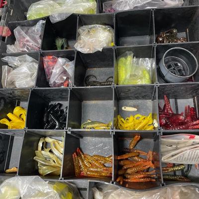 Plano case with fishing bait