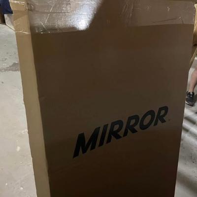 Sale Photo Thumbnail #137: Brand new exercise mirror by lululemon.  Will come will wall mounting bracket.