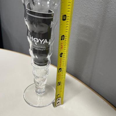 Hoya bubble rose vase