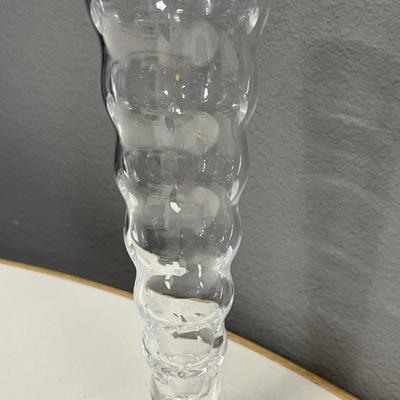 Hoya bubble rose vase