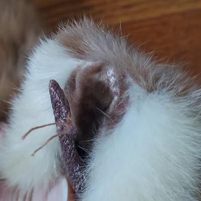 Vintage Accessories Incl Fur Collar, Beaded Bads & More (B2-BBL)