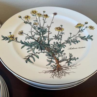 Villeroy & Boch “Botanica” Porcelain Dishware