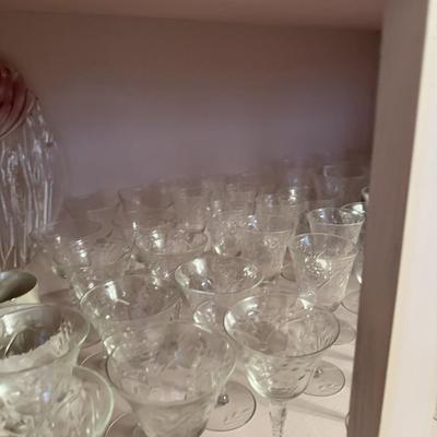 American Beauty Stems Huge Lot