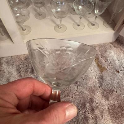 American Beauty Stems Huge Lot