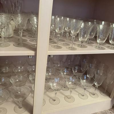 American Beauty Stems Huge Lot