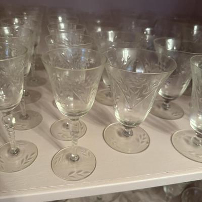 American Beauty Stems Huge Lot