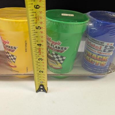 Daytona Track Facts Cups