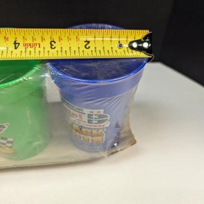 Daytona Track Facts Cups