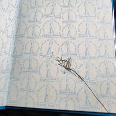 Vintage 1983 It's Not Easy Being a Bunny by Marilyn Sadler | Early Beginner Books Hardcover | P.J. Funnybunny Classic | Bright Blue...