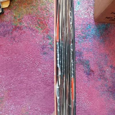 Holy Bible on Vinyl records!