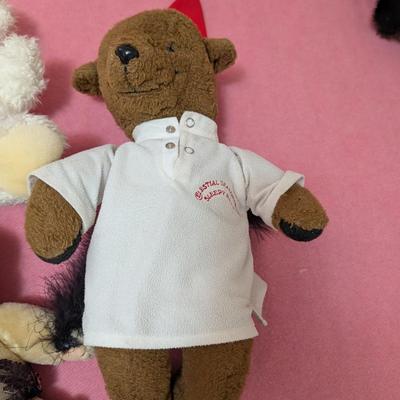 Group of 4 bears. The brown one is old.