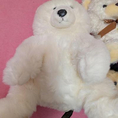 Group of 4 bears. The brown one is old.