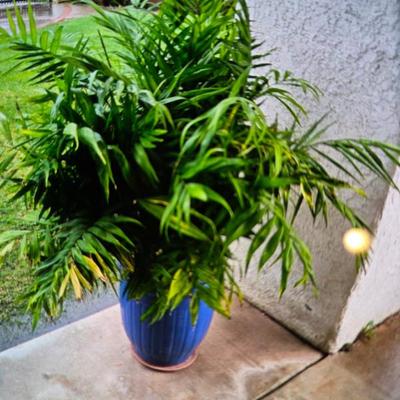 Sale Photo Thumbnail #30