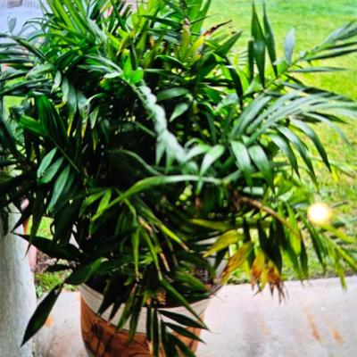 Sale Photo Thumbnail #32