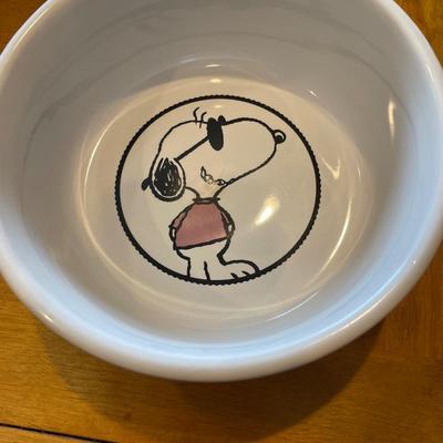 Snoopy dog bowl