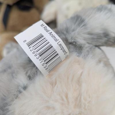 Real Animal Leopard Plush - Boyds Collection Bear Plush - Owl Plush